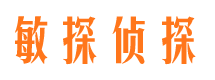 龙山侦探公司